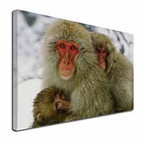 Monkey Family in Snow Canvas X-Large 30"x20" Wall Art Print
