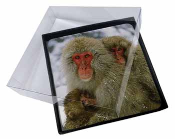 4x Monkey Family in Snow Picture Table Coasters Set in Gift Box