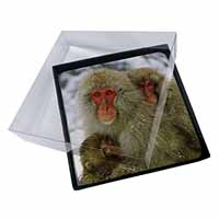 4x Monkey Family in Snow Picture Table Coasters Set in Gift Box