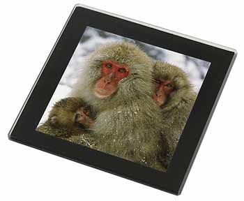 Monkey Family in Snow Black Rim High Quality Glass Coaster