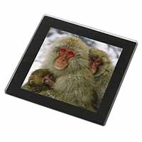 Monkey Family in Snow Black Rim High Quality Glass Coaster