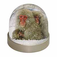 Monkey Family in Snow Snow Globe Photo Waterball