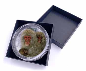 Monkey Family in Snow Glass Paperweight in Gift Box