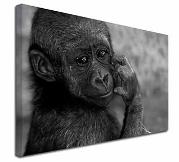 Baby Mountain Gorilla Canvas X-Large 30"x20" Wall Art Print