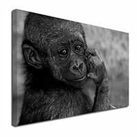 Baby Mountain Gorilla Canvas X-Large 30"x20" Wall Art Print