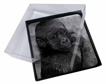 4x Baby Mountain Gorilla Picture Table Coasters Set in Gift Box