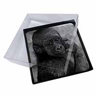 4x Baby Mountain Gorilla Picture Table Coasters Set in Gift Box