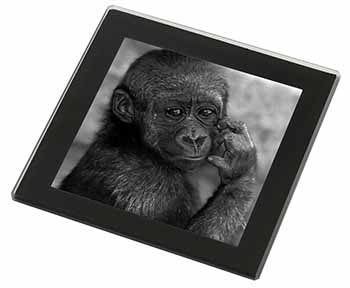 Baby Mountain Gorilla Black Rim High Quality Glass Coaster