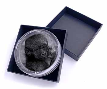 Baby Mountain Gorilla Glass Paperweight in Gift Box