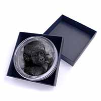 Baby Mountain Gorilla Glass Paperweight in Gift Box