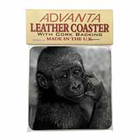 Baby Mountain Gorilla Single Leather Photo Coaster, Printed Full Colour  - Advan