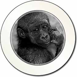 Baby Mountain Gorilla Car or Van Permit Holder/Tax Disc Holder