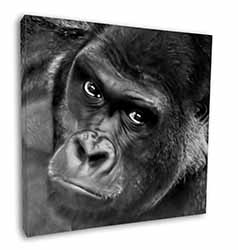 Gorilla Square Canvas 12"x12" Wall Art Picture Print