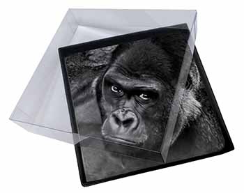 4x Gorilla Picture Table Coasters Set in Gift Box
