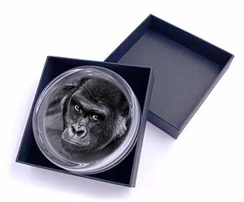 Gorilla Glass Paperweight in Gift Box