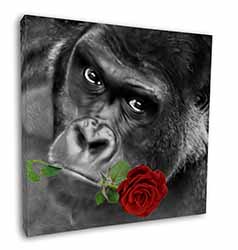 Gorilla with Red Rose in Mouth Square Canvas 12"x12" Wall Art Picture Print