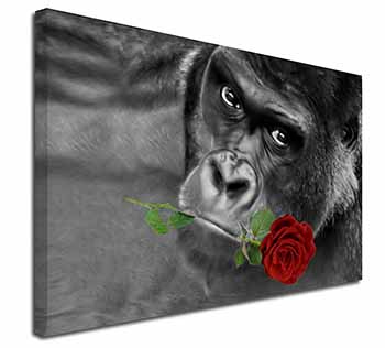 Gorilla with Red Rose in Mouth Canvas X-Large 30"x20" Wall Art Print