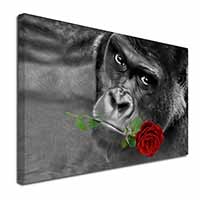 Gorilla with Red Rose in Mouth Canvas X-Large 30"x20" Wall Art Print