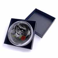 Gorilla with Red Rose in Mouth Glass Paperweight in Gift Box