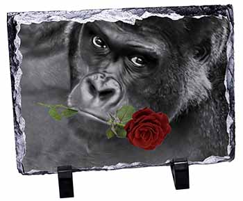 Gorilla with Red Rose in Mouth, Stunning Photo Slate