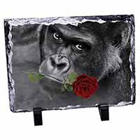Gorilla with Red Rose in Mouth, Stunning Photo Slate