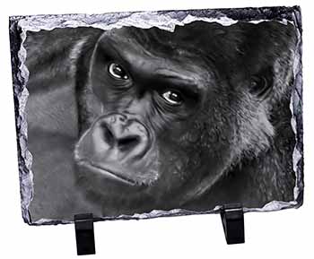 Gorilla, Stunning Photo Slate