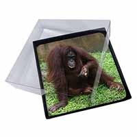 4x Orangutan Picture Table Coasters Set in Gift Box