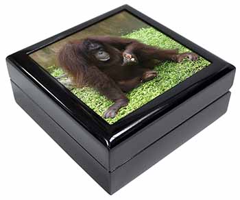 Orangutan Keepsake/Jewellery Box