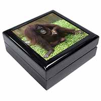 Orangutan Keepsake/Jewellery Box