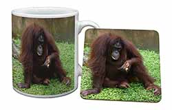 Orangutan Mug and Coaster Set