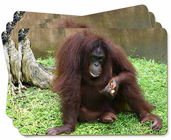 Orangutan Picture Placemats in Gift Box