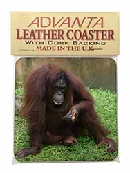 Orangutan Single Leather Photo Coaster