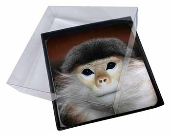 4x Cheeky Monkey Picture Table Coasters Set in Gift Box