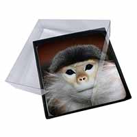 4x Cheeky Monkey Picture Table Coasters Set in Gift Box