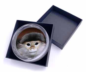 Cheeky Monkey Glass Paperweight in Gift Box Christmas Present