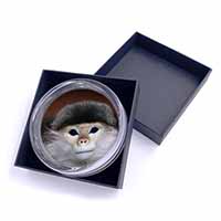 Cheeky Monkey Glass Paperweight in Gift Box Christmas Present