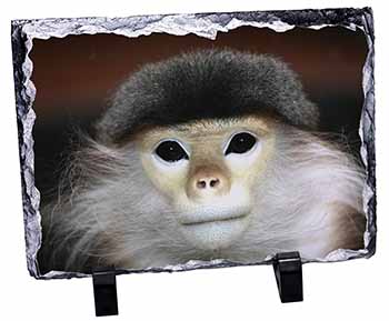 Cheeky Monkey Photo Slate Christmas Gift Ornament