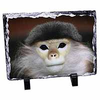 Cheeky Monkey Photo Slate Christmas Gift Ornament