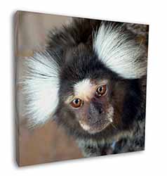 Marmoset Monkey Square Canvas 12"x12" Wall Art Picture Print