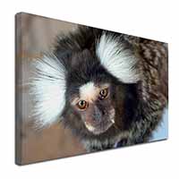 Marmoset Monkey Canvas X-Large 30"x20" Wall Art Print