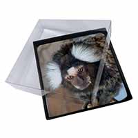 4x Marmoset Monkey Picture Table Coasters Set in Gift Box