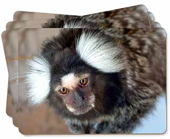 Marmoset Monkey Picture Placemats in Gift Box