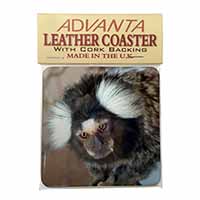 Marmoset Monkey Single Leather Photo Coaster