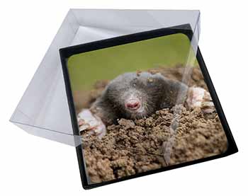 4x Garden Mole Picture Table Coasters Set in Gift Box
