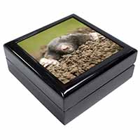Garden Mole Keepsake/Jewellery Box