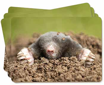 Garden Mole Picture Placemats in Gift Box