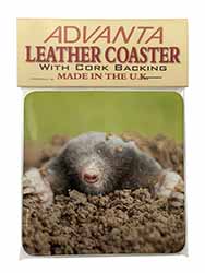 Garden Mole Single Leather Photo Coaster