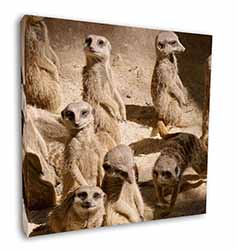 Meerkats Square Canvas 12"x12" Wall Art Picture Print