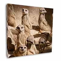 Meerkats Square Canvas 12"x12" Wall Art Picture Print