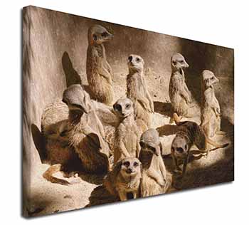Meerkats Canvas X-Large 30"x20" Wall Art Print